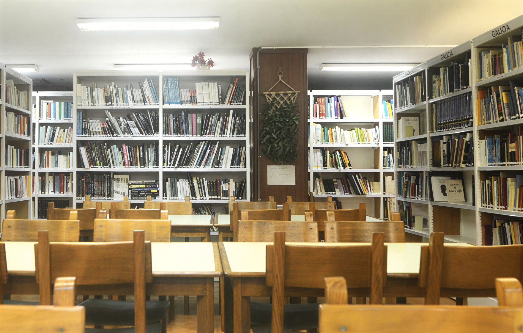 BERGONDO biblioteca