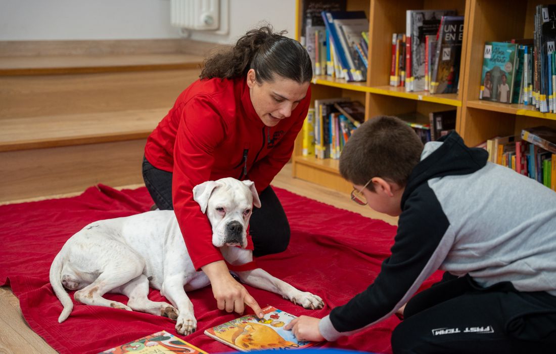 CULLEREDO terapia con perros