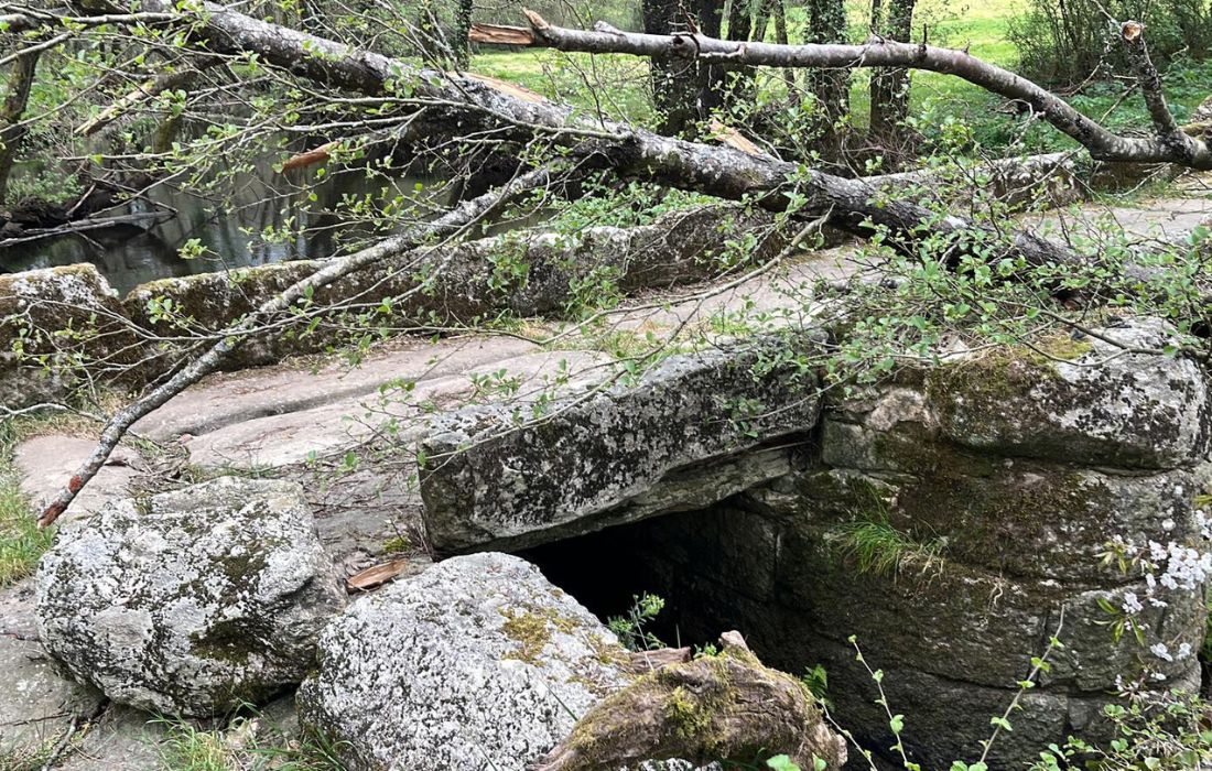 CURTIS controna rio mandeo