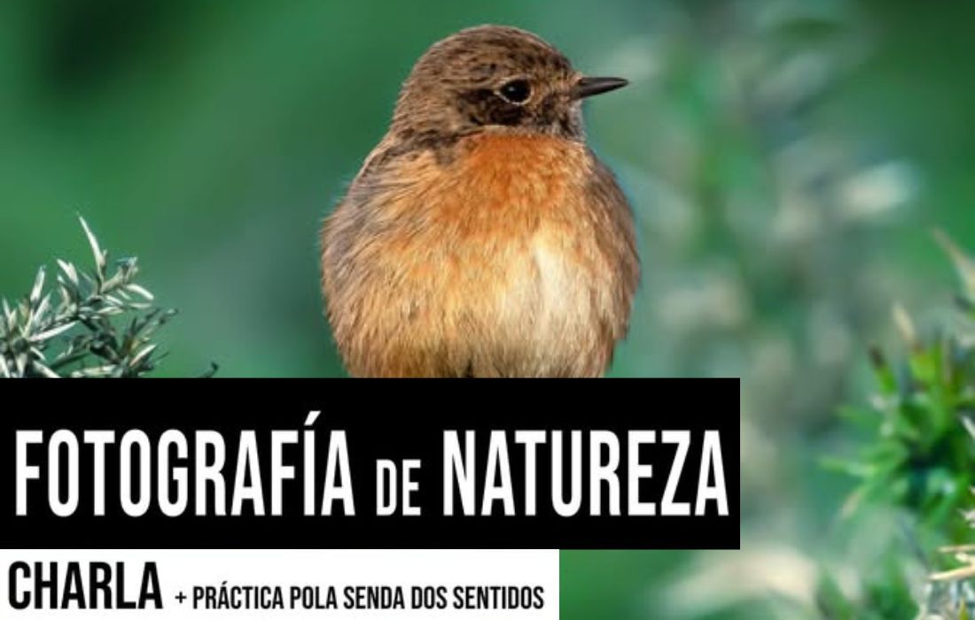 MIÑO taller fotografía
