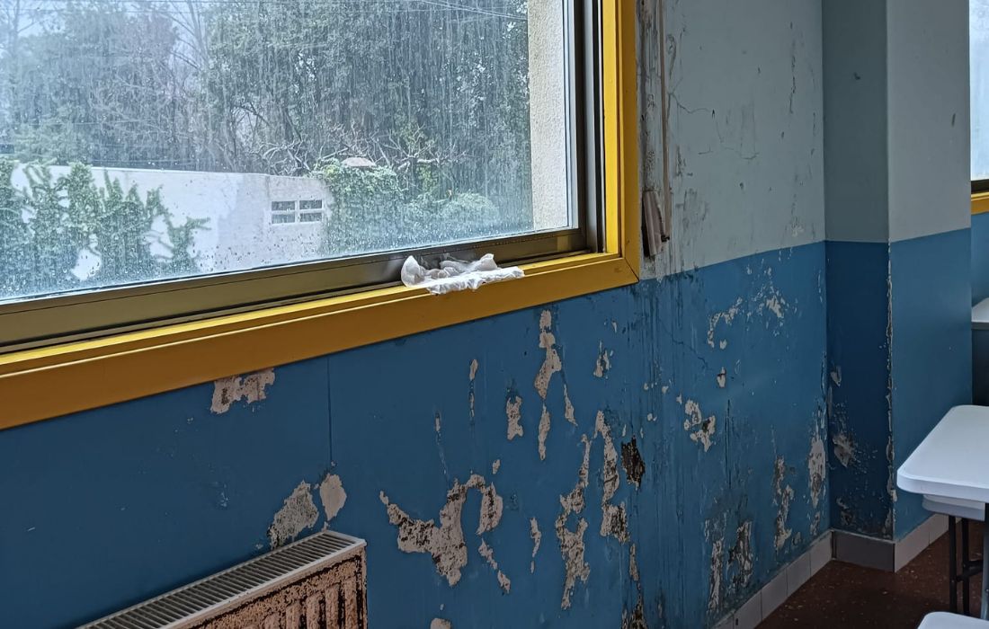 OLEIROS comedor pardo