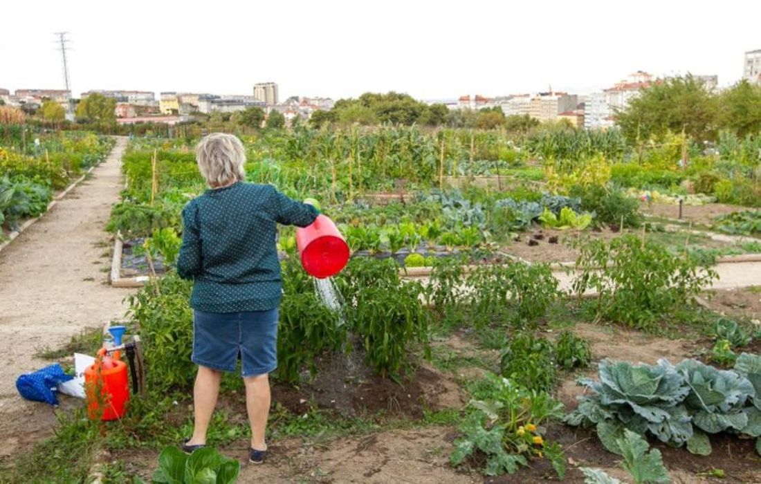 A CORUÑA horta urbana
