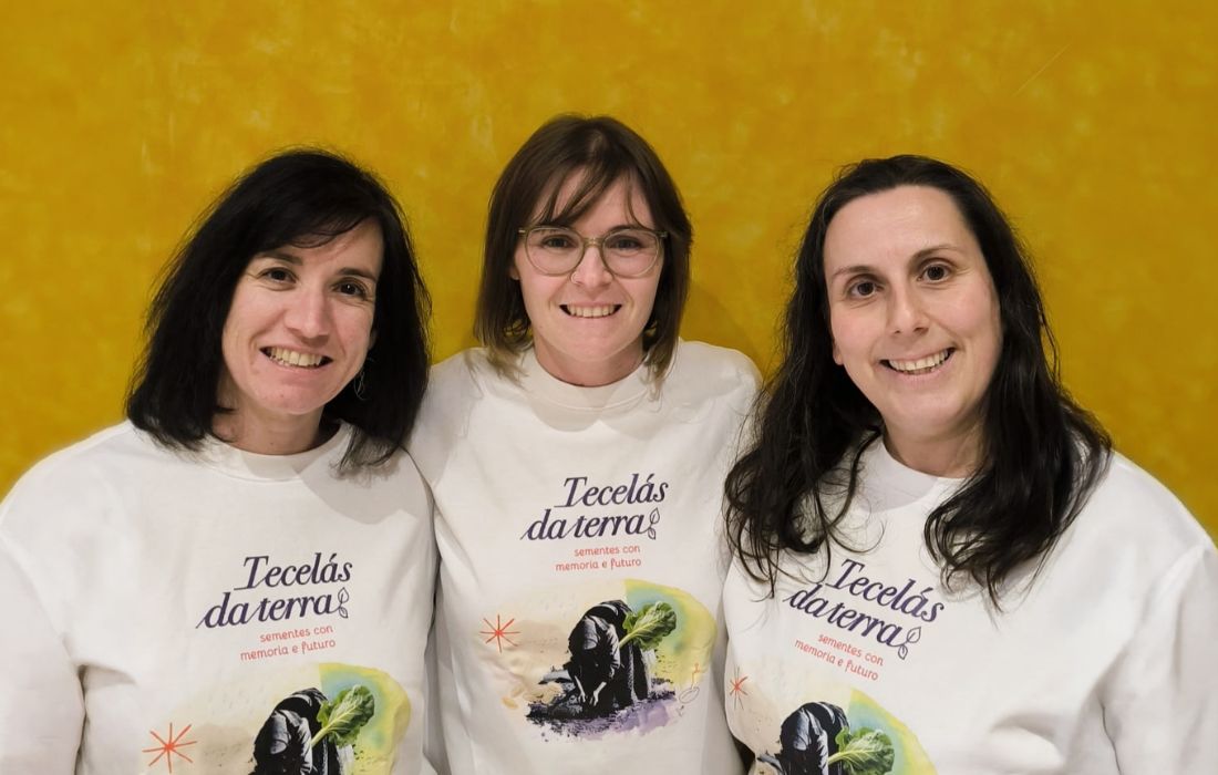 BETANZOS tecelás