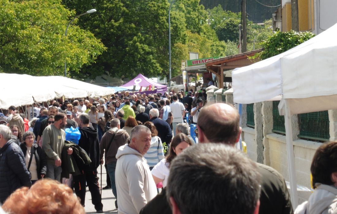 VILARMAIOR feira das flores o tres 2026