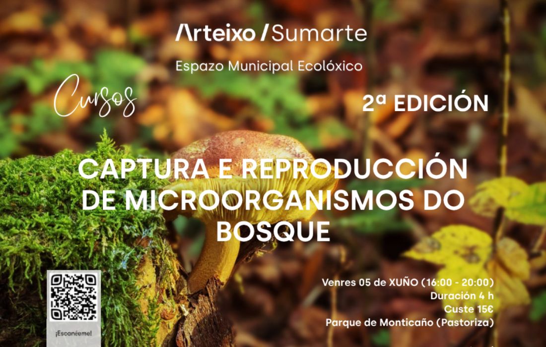 ARTEIXO captura cogomelos