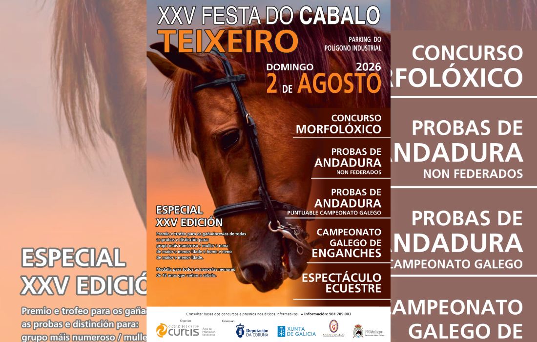 festa-do-cabalo-de-teixeiro