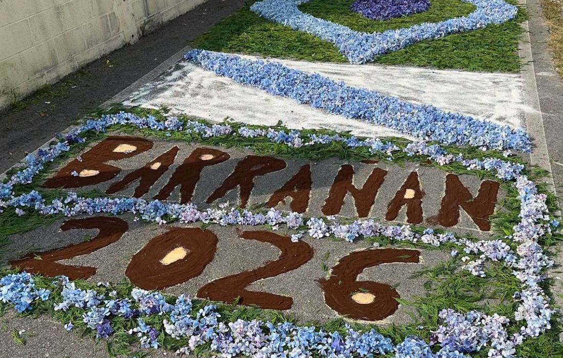 ARTEIXO alfombra flores barrañan