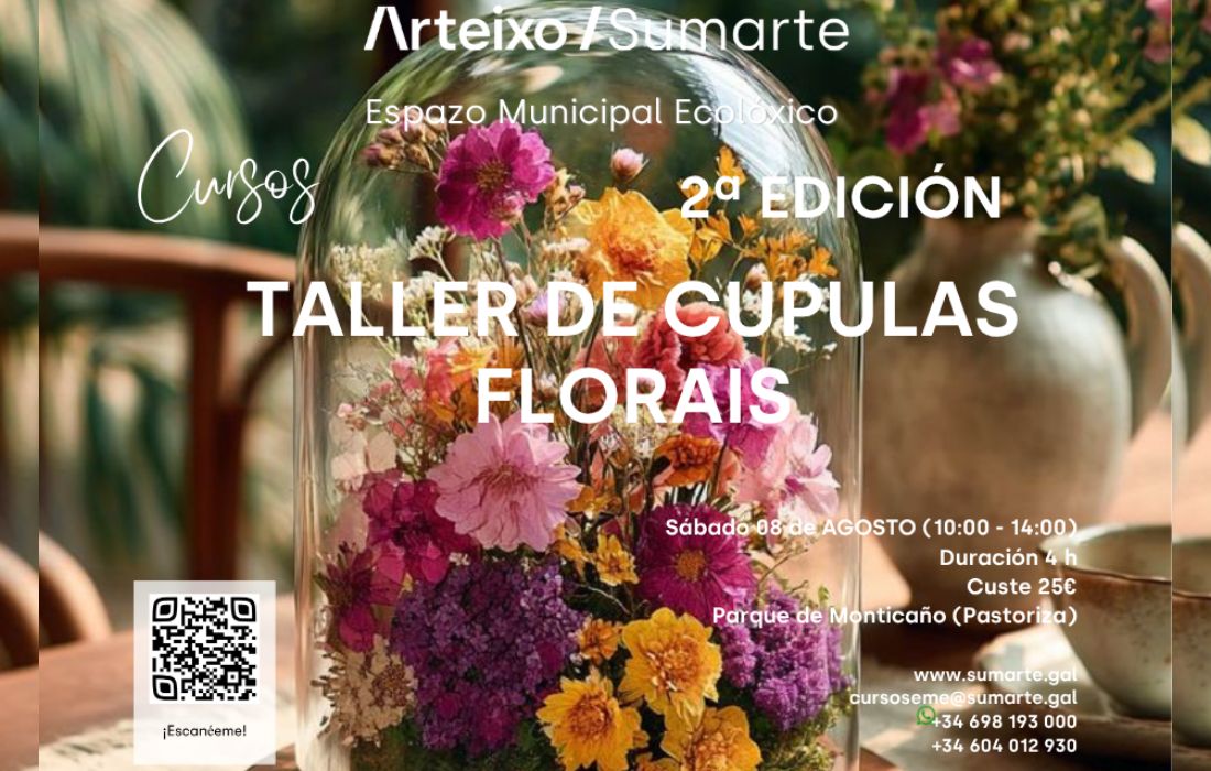 ARTEIXO taller cupulas