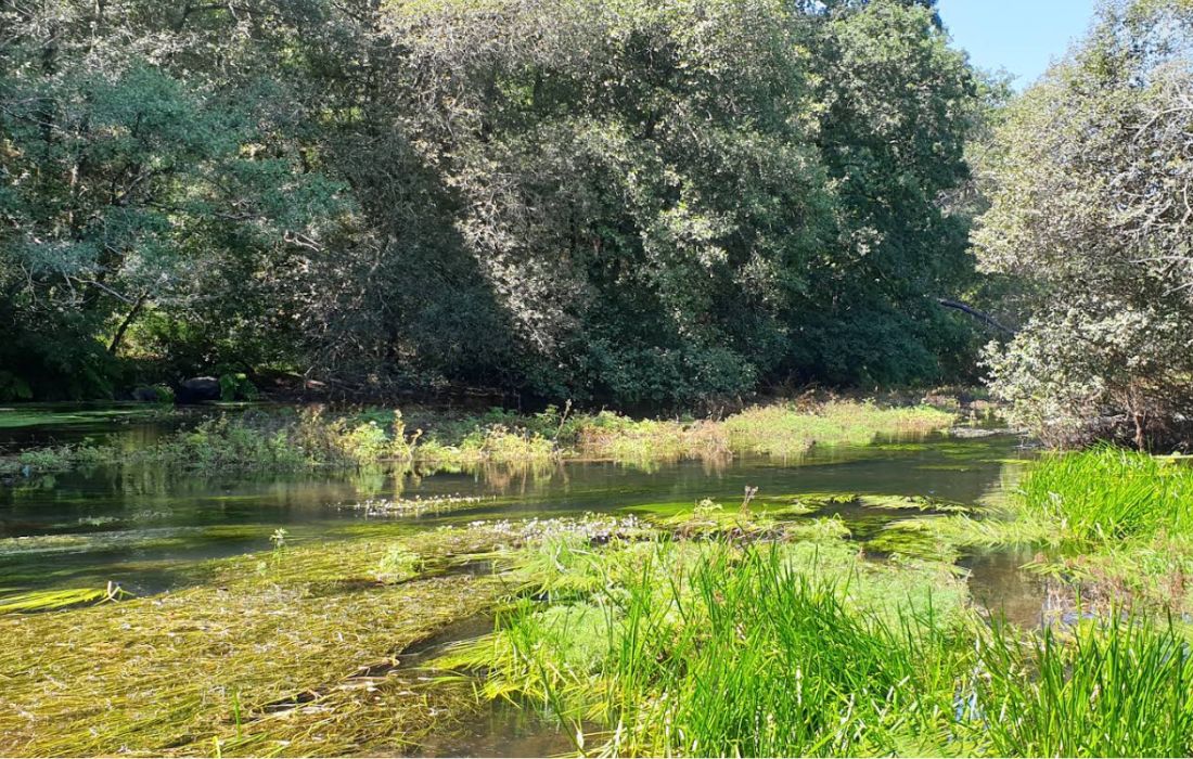 ORDES rio cabrón