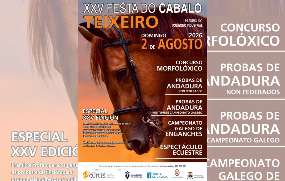 festa-do-cabalo-de-teixeiro