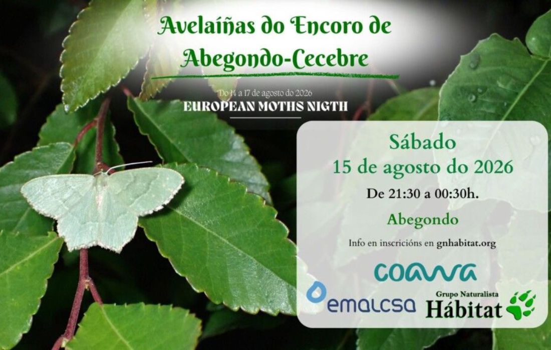 ABEGONDO xornada avelaiñas