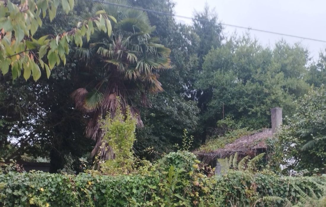 COIRÓS casa abandonada
