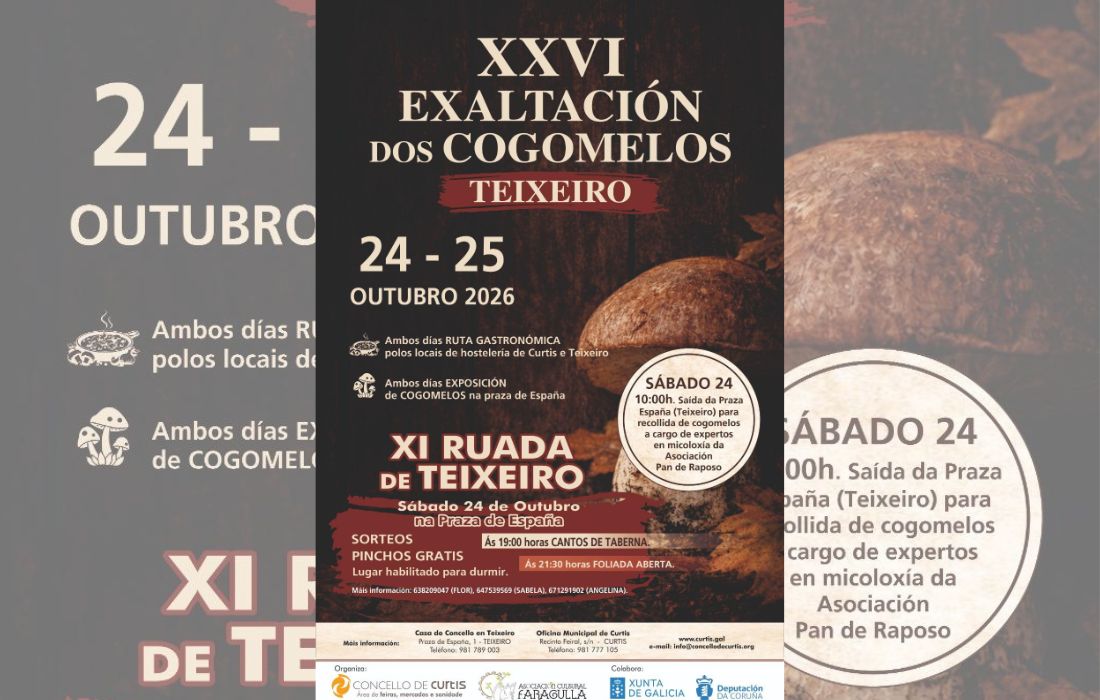 curtis-festa-exaltacion-cogomelos