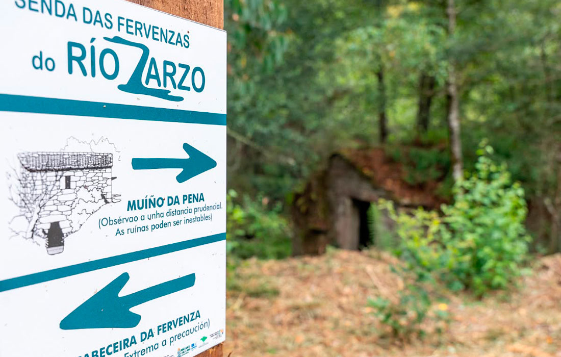 senda-das-fervenzas-irixoa_zarzo
