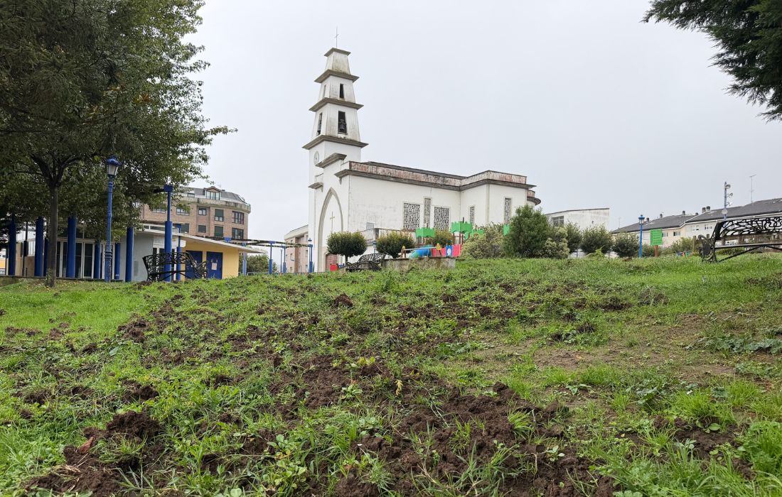 CULLEREDO jabalies