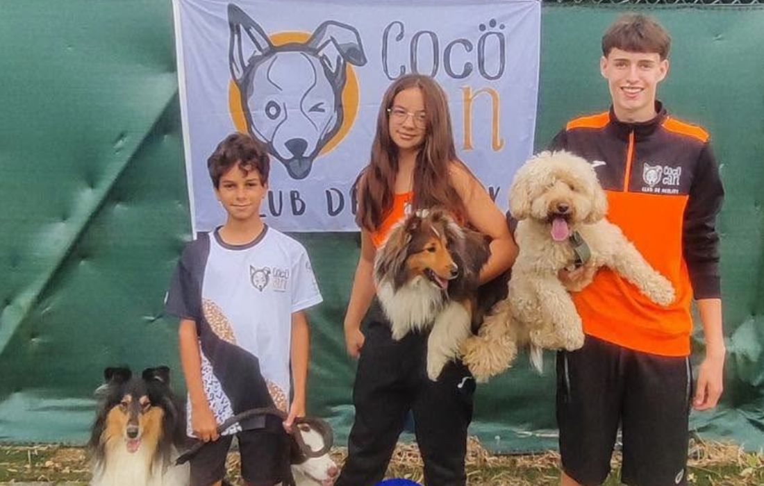 CAMBRE agility