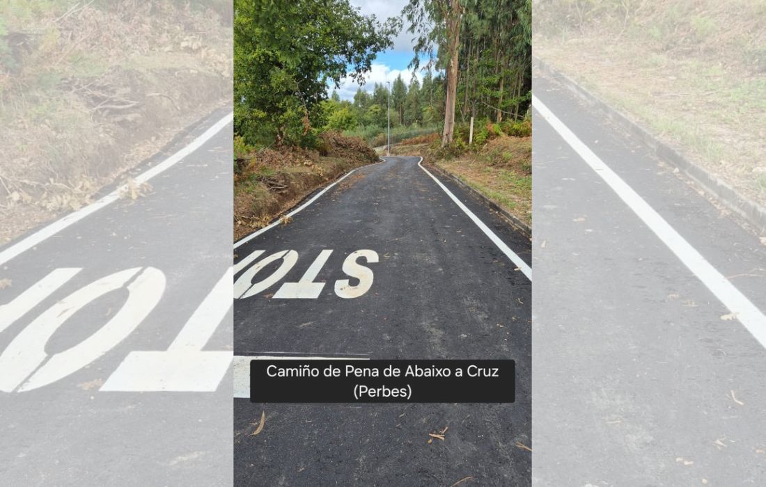Miño plan de mellora camiños