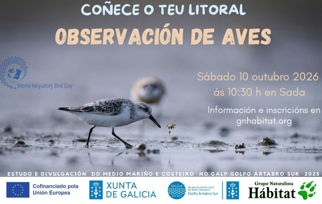 SADA observacion aves