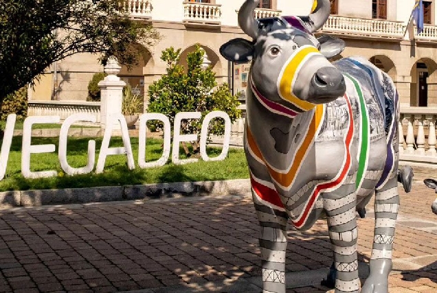 vegadeo-vaca-silvallana-xato