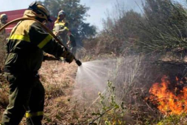 brigada-incendios-a-pastoriza