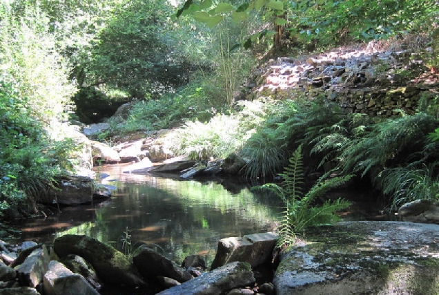 Imaxe da ruta de Cambás en Aranga