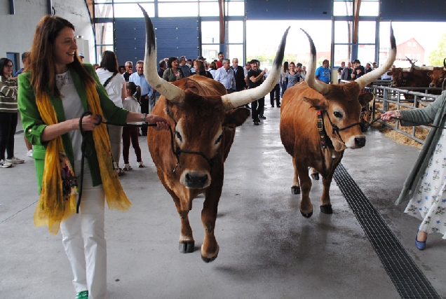 Feira-San-Isidro-Paradela-2025