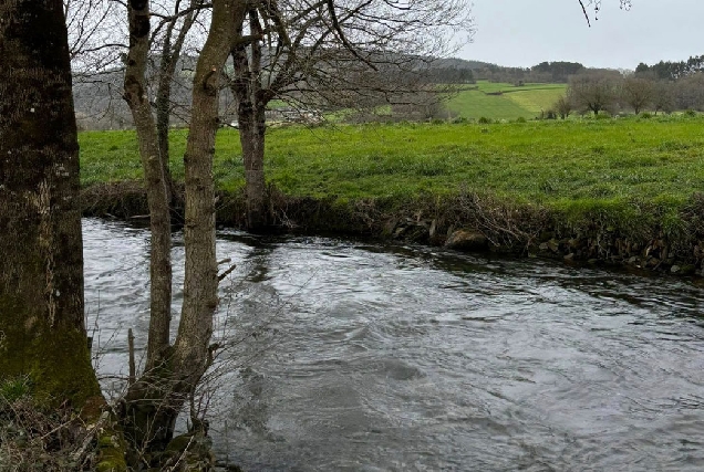 pesca-rio-Neira