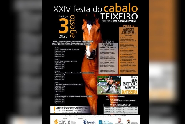 cabalos-teixeiro