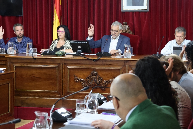 pleno concello de lugo