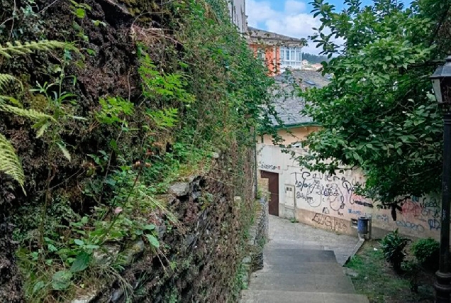 Viveiro-camino-Lois-Tobio-Quiexa-por-viveiro-2025