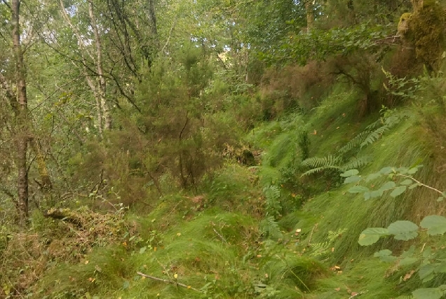 ruta-fervenza-xestosa-muras