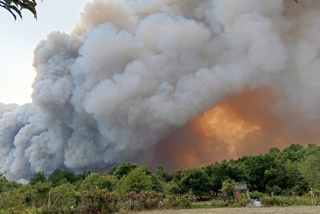 incendio-panton