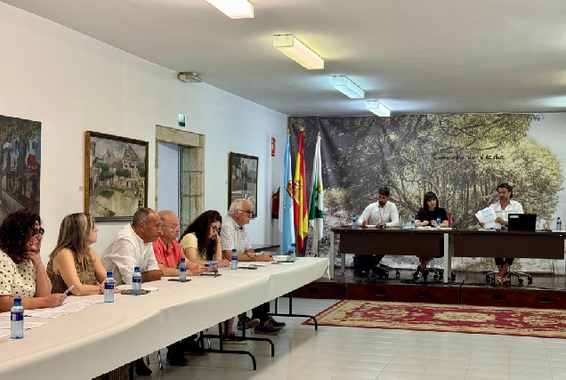 pleno-vilalba