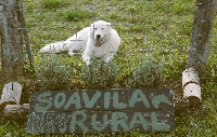 SOA VILAR RURAL (4)