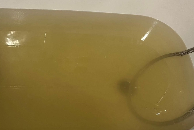 Auga-Xove-decembro-2025