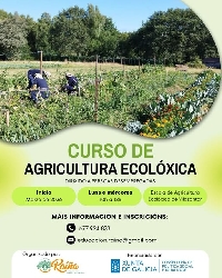 raiña curso