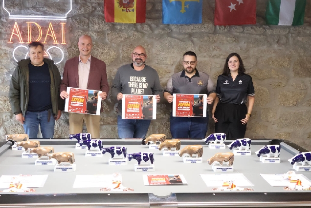 Adai-Campionato-de-España-Feminino-de-Billar-Pool-2026