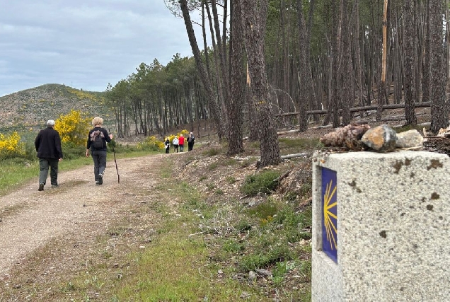 camiño-do-inverno-descubrir-quiroga