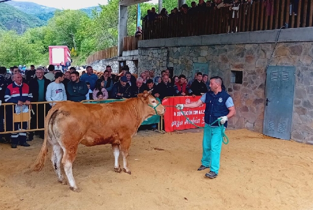 subasta-acruga-seoane