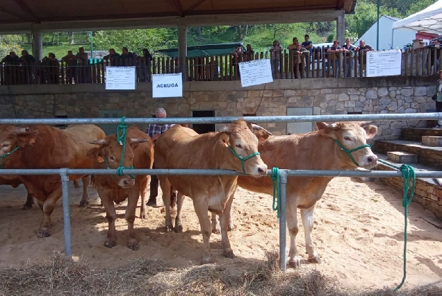 subasta-acruga-seoane