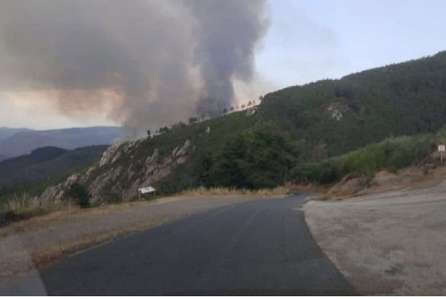 incendio-ribas-de-sil-desde-quiroga