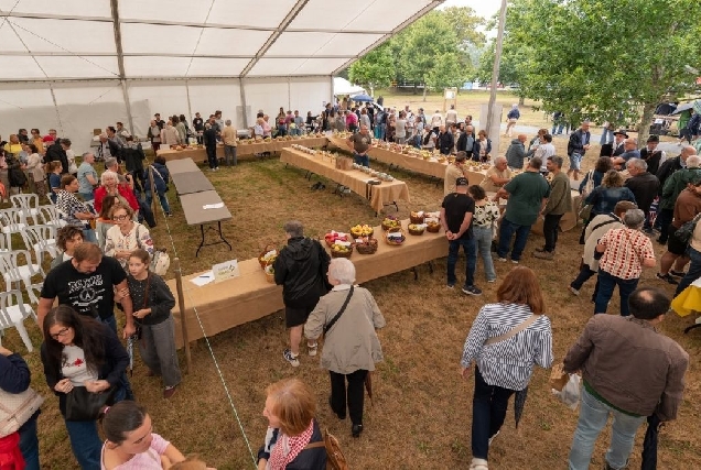 SAN SADURNIÑO feira rural
