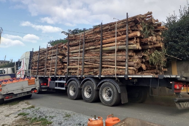 FERROL camion madeira