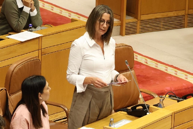 Lara Méndez PSOE