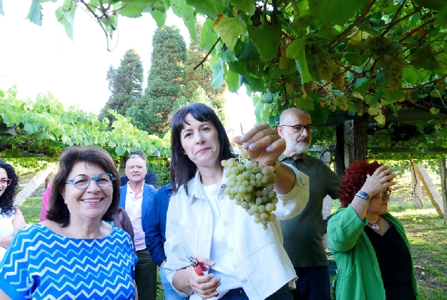 ana-ponton-recollida-de-uva