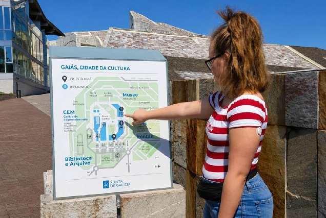 plan-accesibilidade-pladenga
