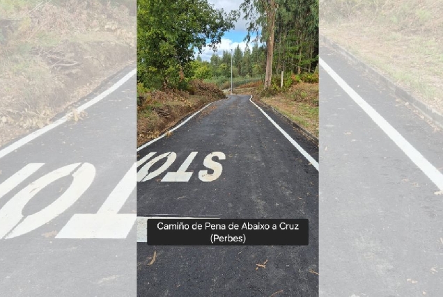 Miño plan de mellora camiños