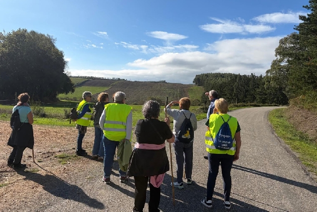 curso-usc-xermade-camino-conecemento