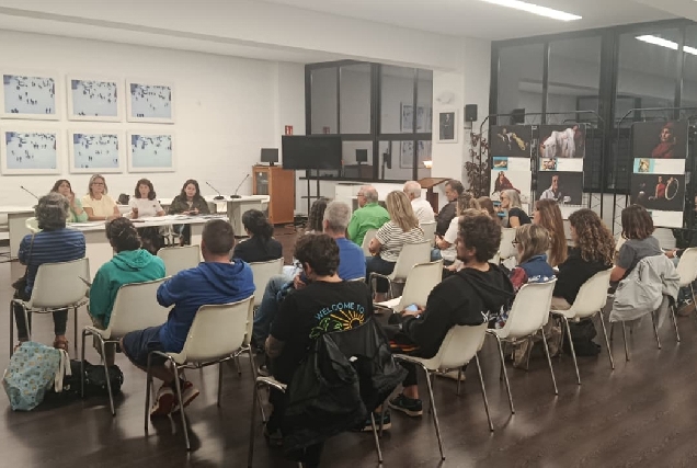 fene-presentacion-axudas-deputacion