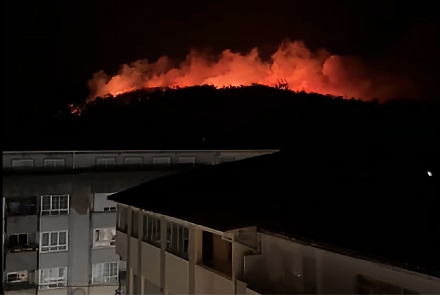 incendio-camarinas